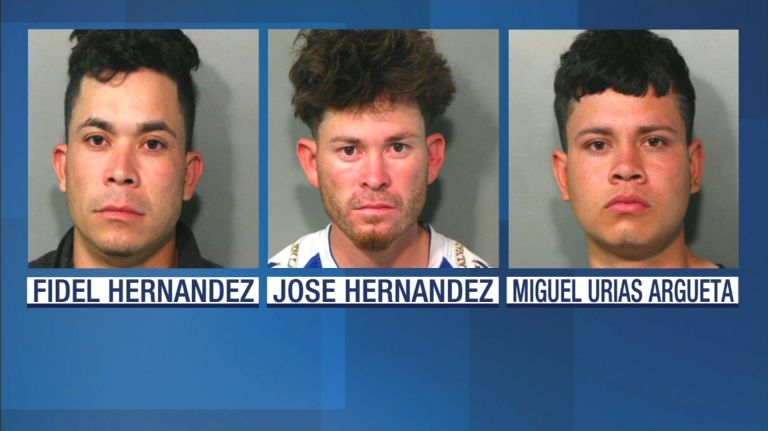 MS-13 Gang Bangers Running Wild on Long Island